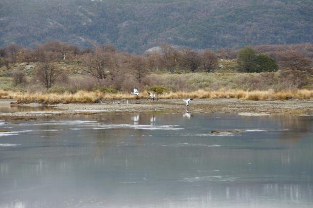 Urlaub in Südamerika 2011